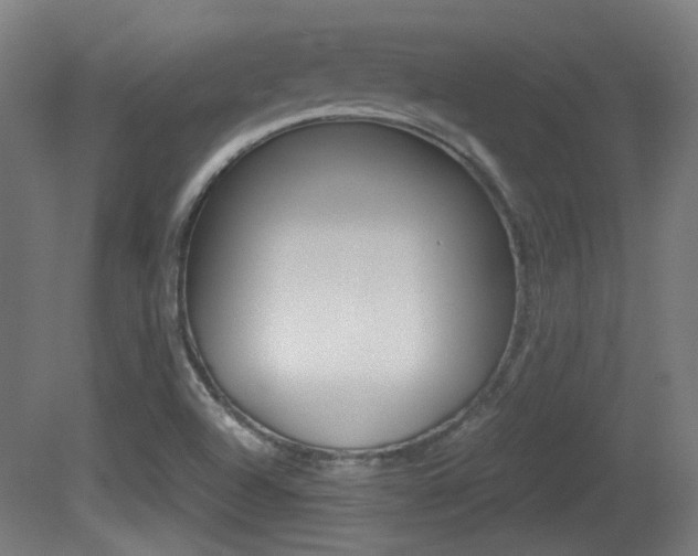 X0000081351504200701111052