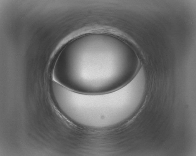 X0000081351506200701111052