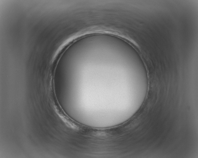 X0000081351507200701111052