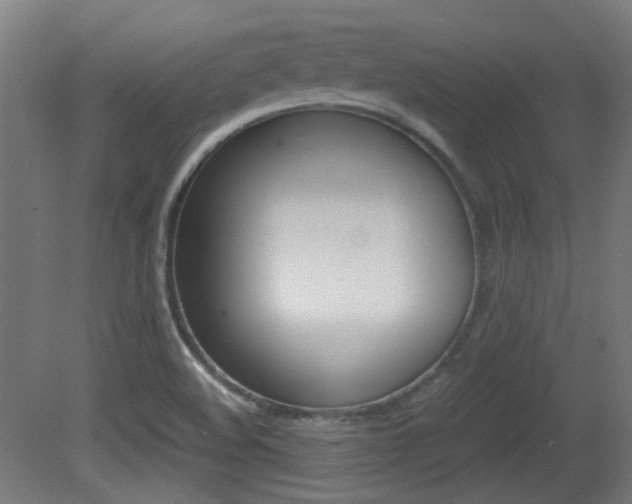 X0000081351508200701111052