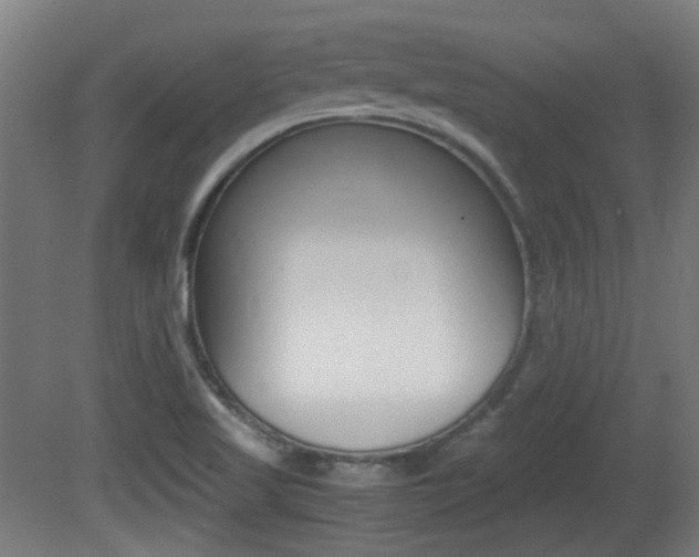 X0000081351509200701111052