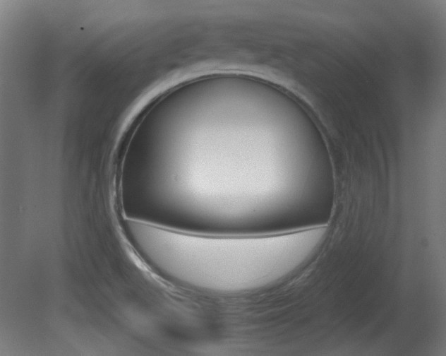 X0000081351511200701111052