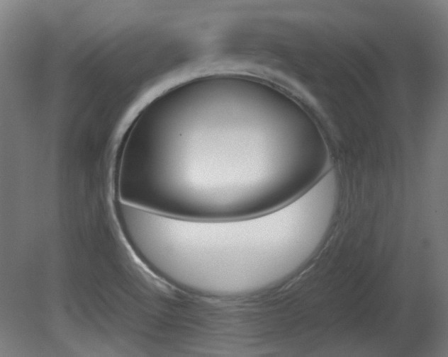 X0000081351512200701111052