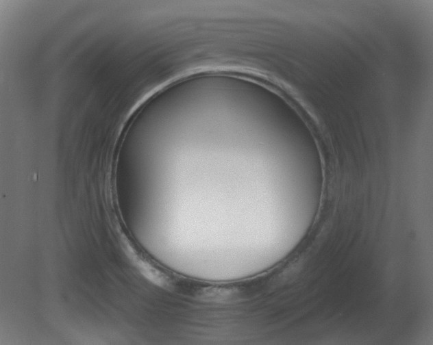 X0000081351513200701111052