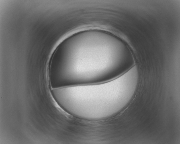 X0000081351516200701111052