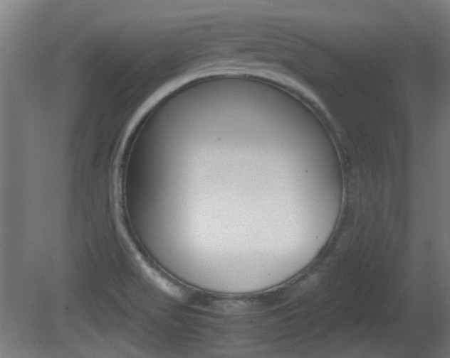 X0000081351517200701111052