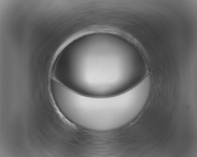 X0000081351520200701111052
