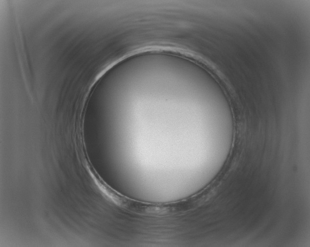 X0000081351521200701111052