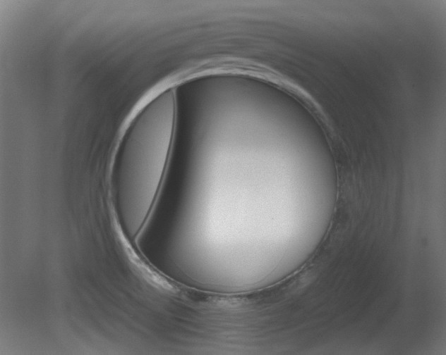 X0000081351522200701111052
