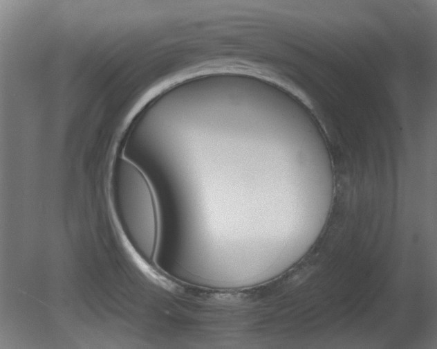 X0000081351523200701111052