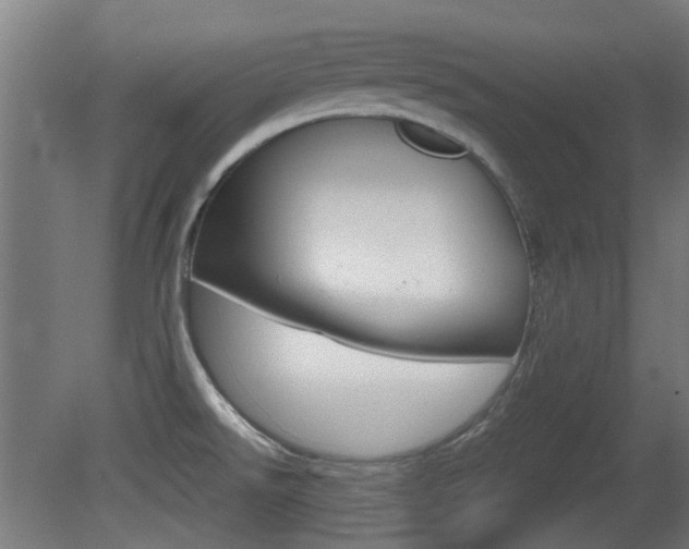 X0000081351526200701111052