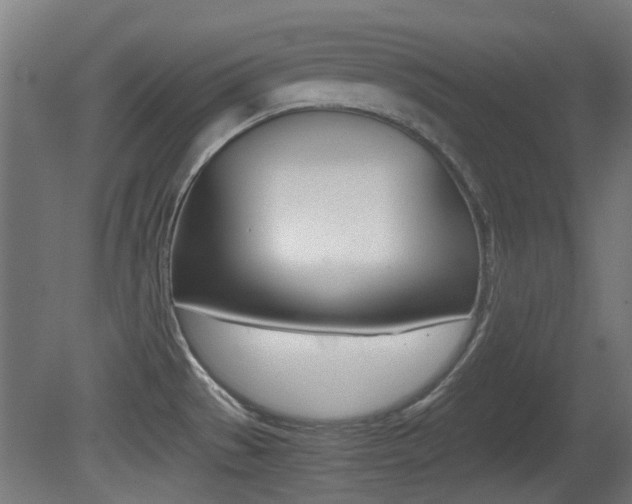 X0000081351529200701111052