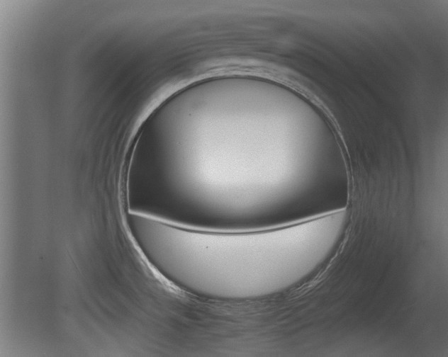 X0000081351533200701111053