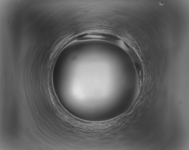 X0000081350001200701111507