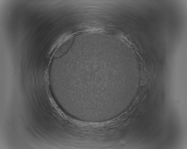 X0000081350002200701111507
