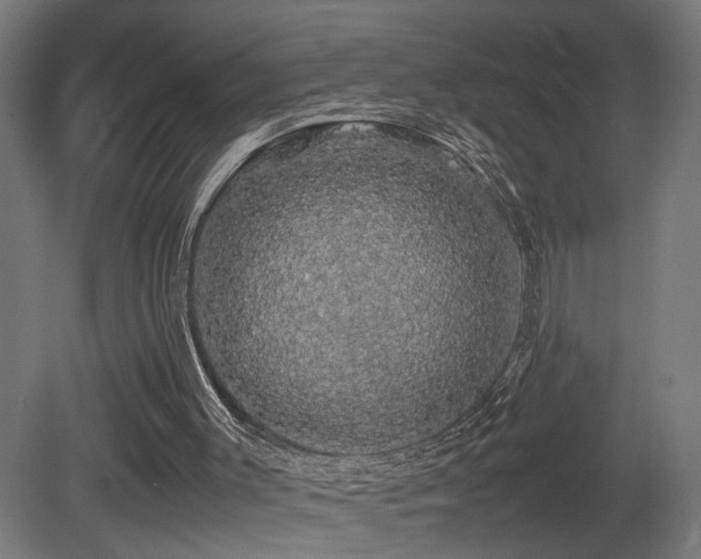 X0000081350003200701111507