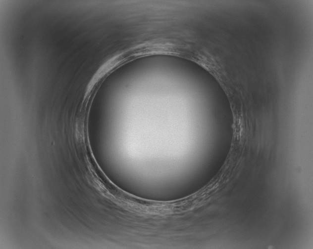 X0000081350004200701111507