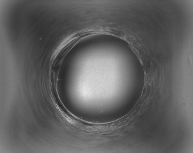 X0000081350005200701111507