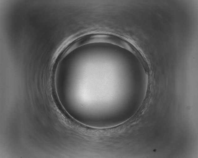 X0000081350007200701111507