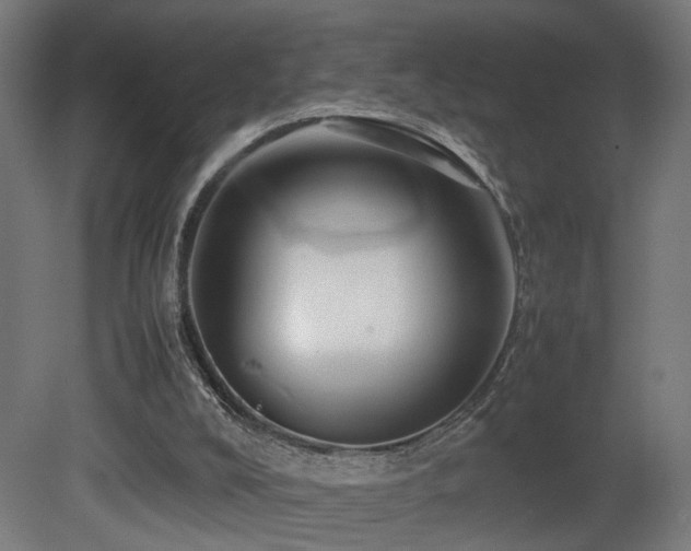 X0000081350008200701111507