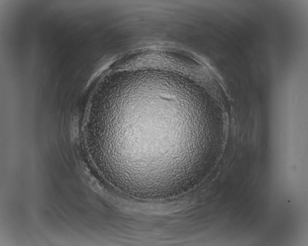 X0000081350010200701111507