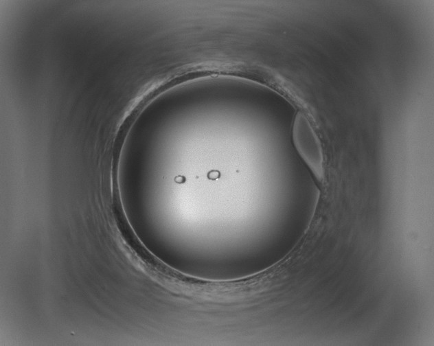 X0000081350011200701111507
