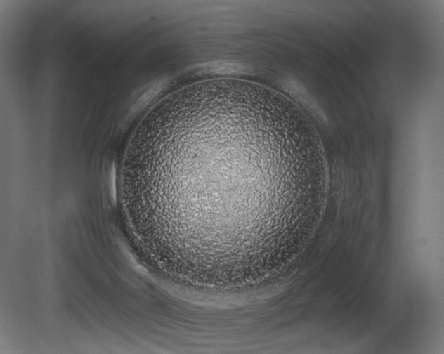 X0000081350014200701111507