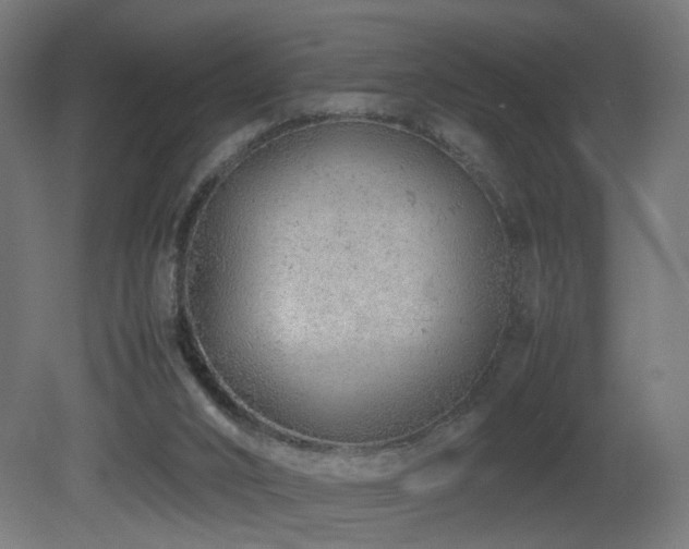 X0000081350016200701111507
