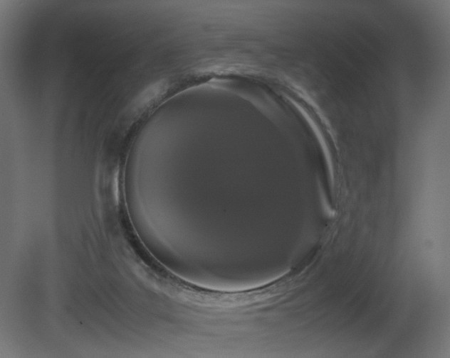 X0000081350019200701111507