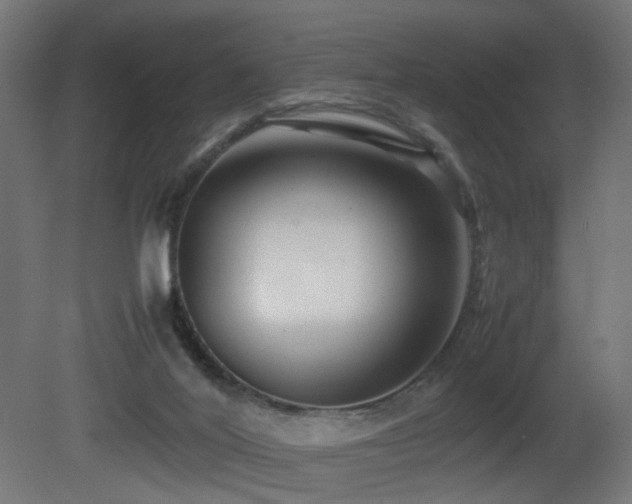 X0000081350020200701111507