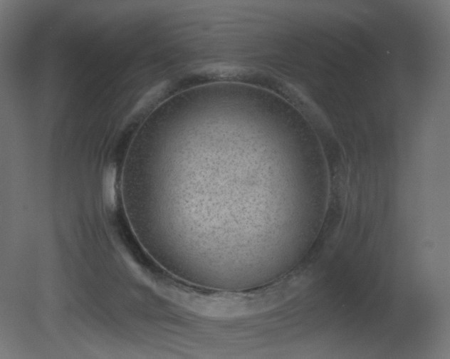 X0000081350024200701111507