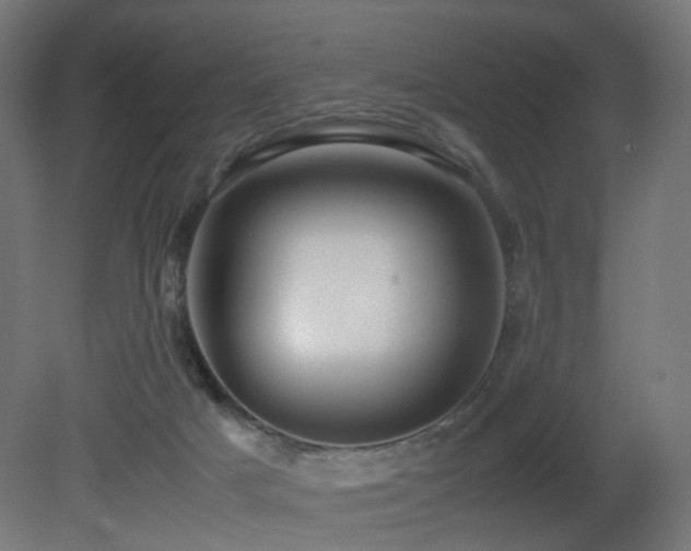 X0000081350025200701111507