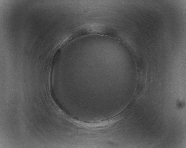 X0000081350027200701111507