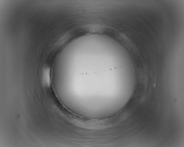 X0000081350028200701111507