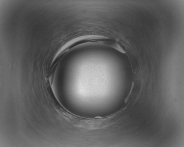 X0000081350033200701111507