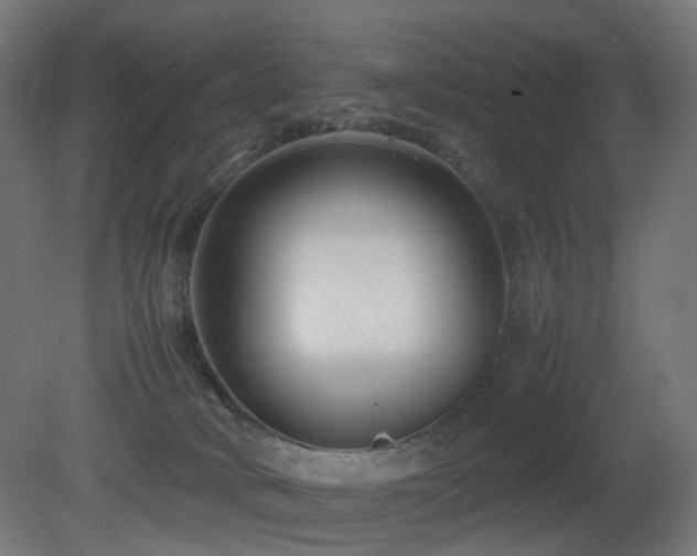 X0000081350034200701111507