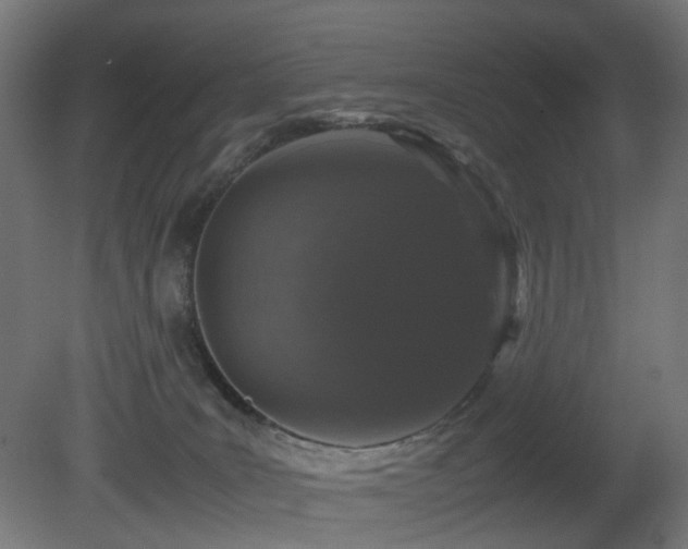 X0000081350035200701111507