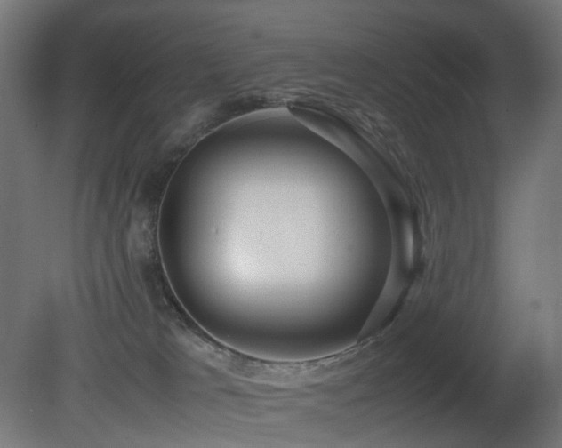 X0000081350037200701111507