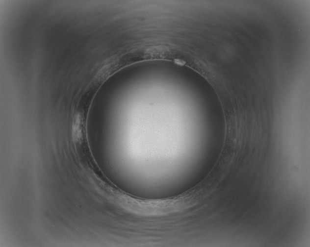 X0000081350038200701111506