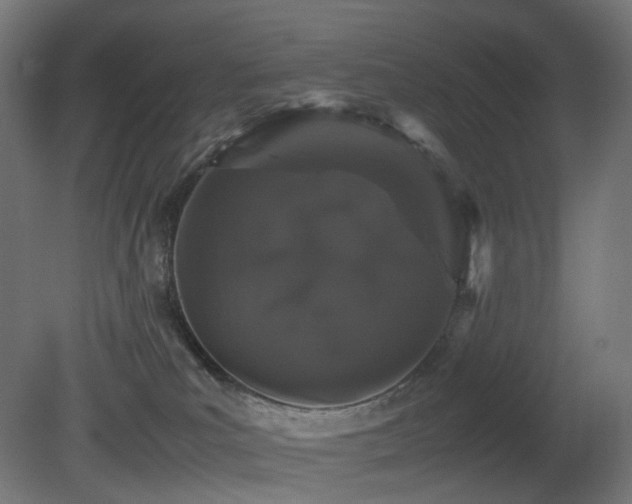 X0000081350039200701111506