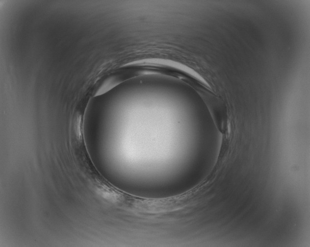 X0000081350041200701111506