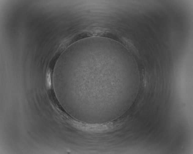 X0000081350042200701111506