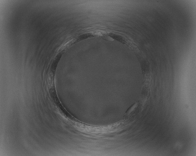 X0000081350043200701111506