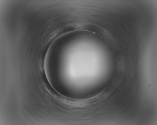 X0000081350044200701111506