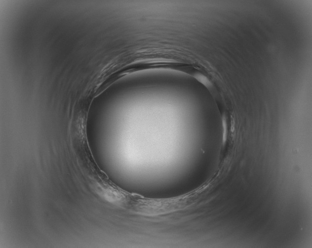 X0000081350045200701111506