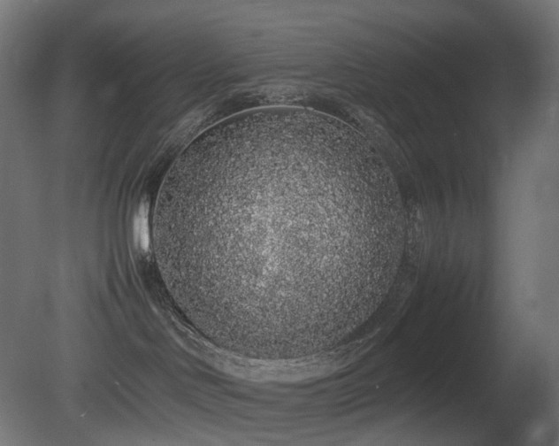 X0000081350046200701111506