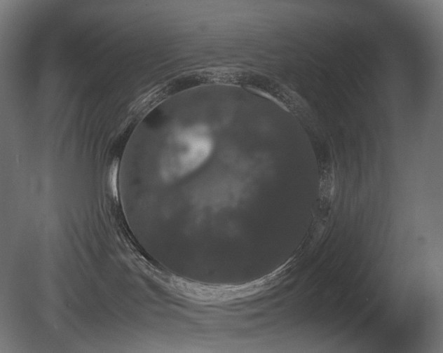 X0000081350047200701111506