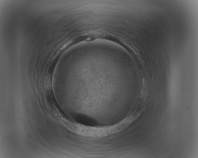X0000081350048200701111506