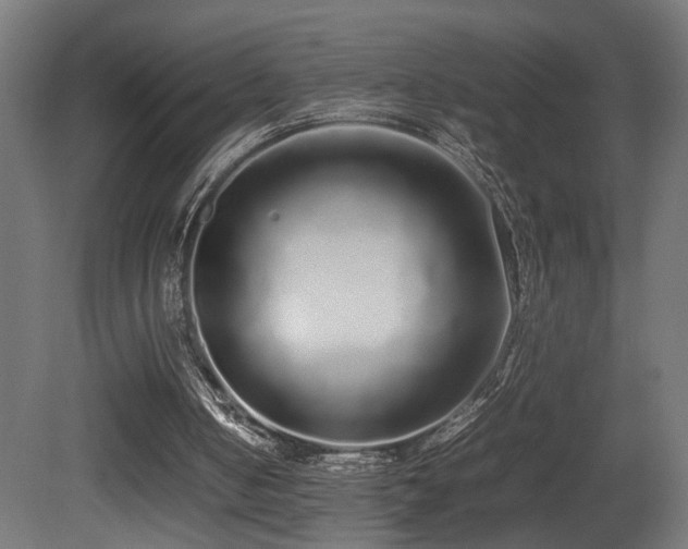 X0000081350050200701111506