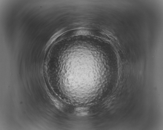 X0000081350051200701111506